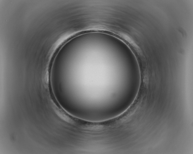 X0000113231372200909101202