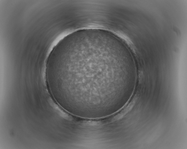 X0000113231374200909101202