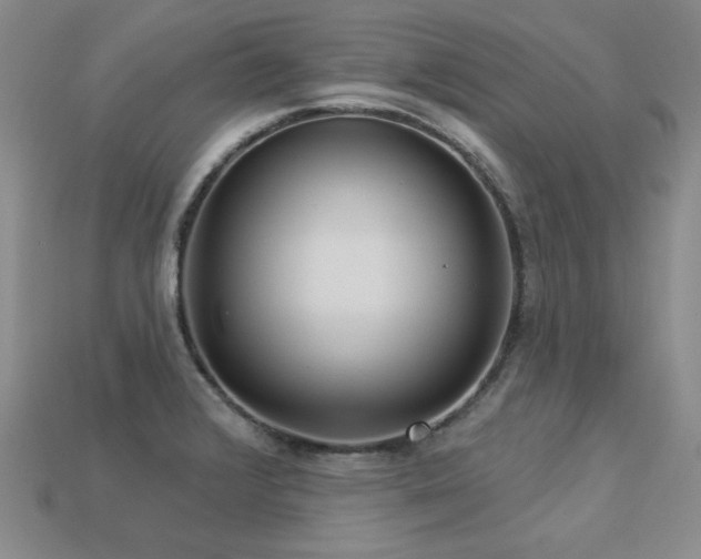 X0000113231376200909101202