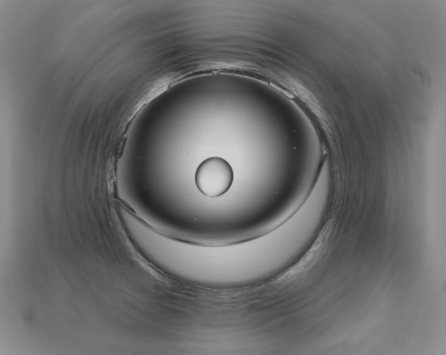 X0000113231377200909101202