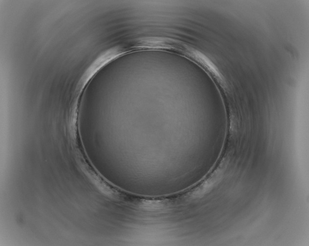 X0000113231378200909101202