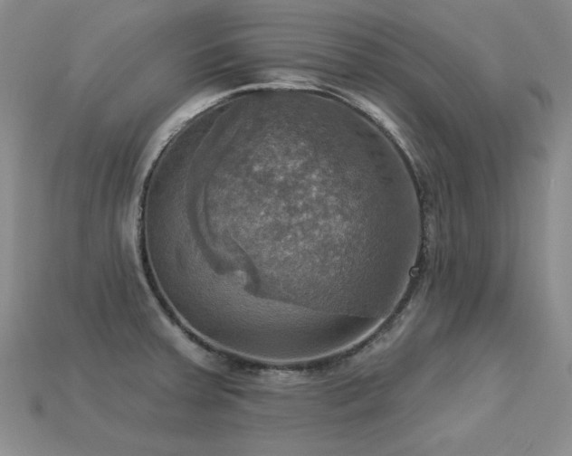 X0000113231379200909101202