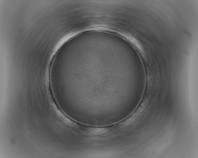 X0000113231382200909101202