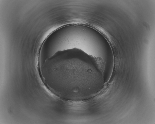 X0000113231383200909101202