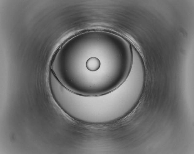X0000113231384200909101202