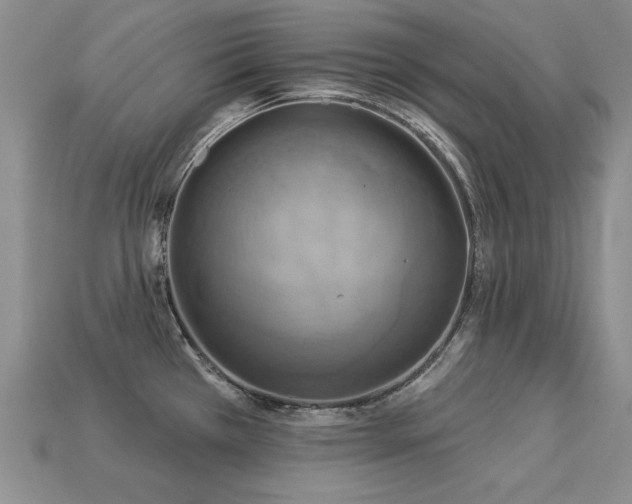 X0000113231385200909101202