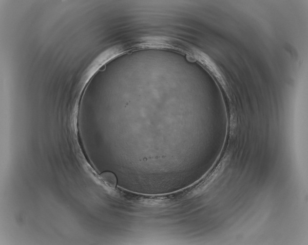X0000113231386200909101202