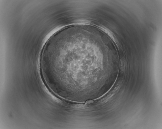 X0000113231387200909101202
