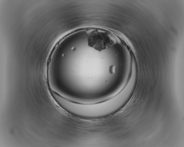 X0000113231388200909101202