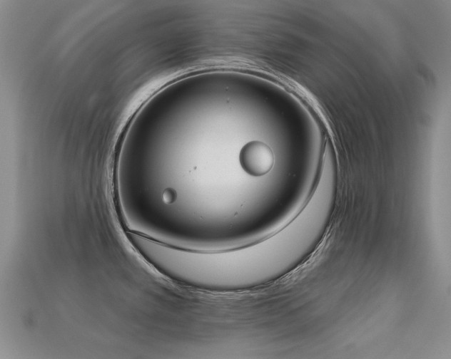 X0000113231389200909101202