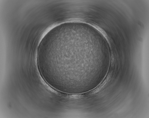 X0000113231390200909101202
