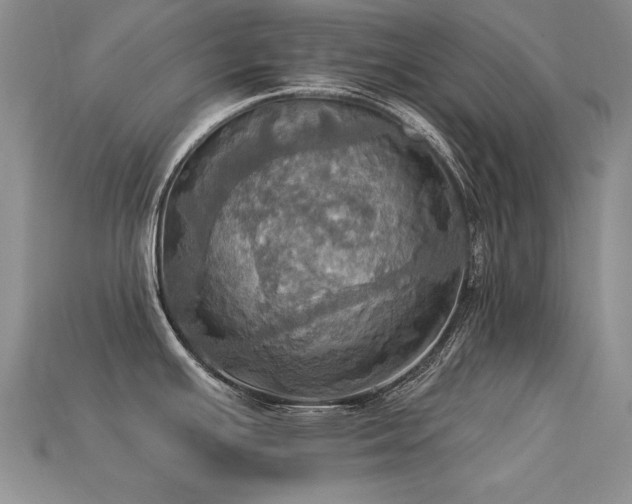 X0000113231391200909101202