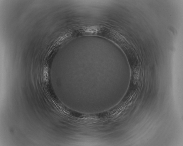 X0000113231394200909101201