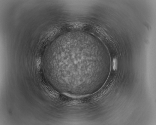 X0000113231395200909101201