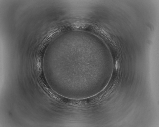 X0000113231396200909101201
