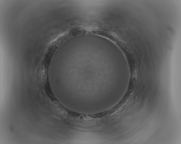 X0000113231398200909101201