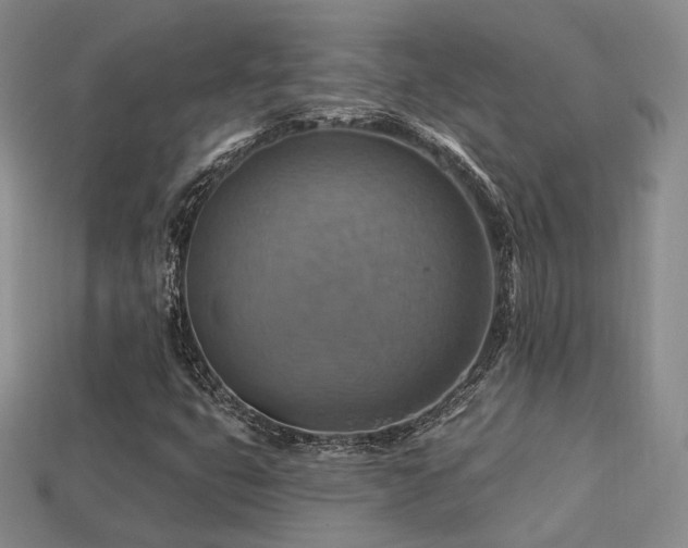 X0000113231399200909101201