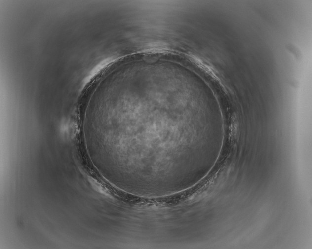 X0000113231400200909101201