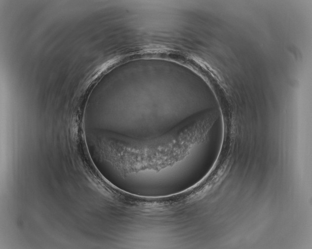 X0000113231401200909101201