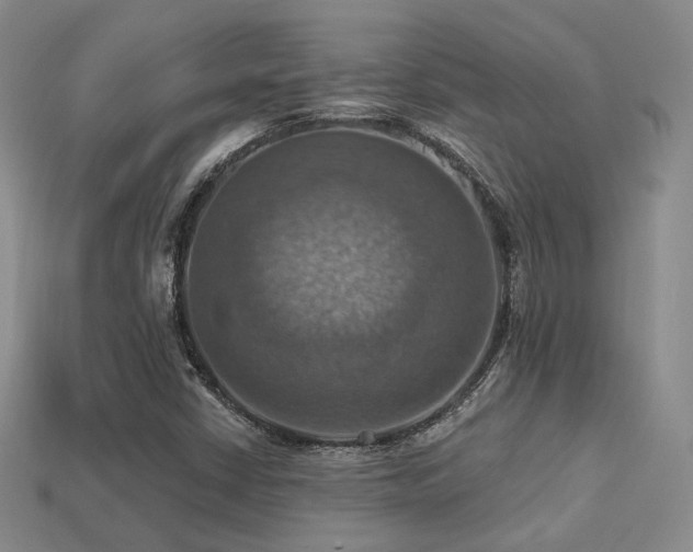 X0000113231402200909101201