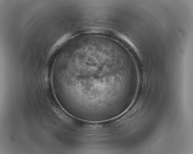 X0000113231403200909101201