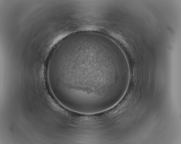 X0000113231404200909101201