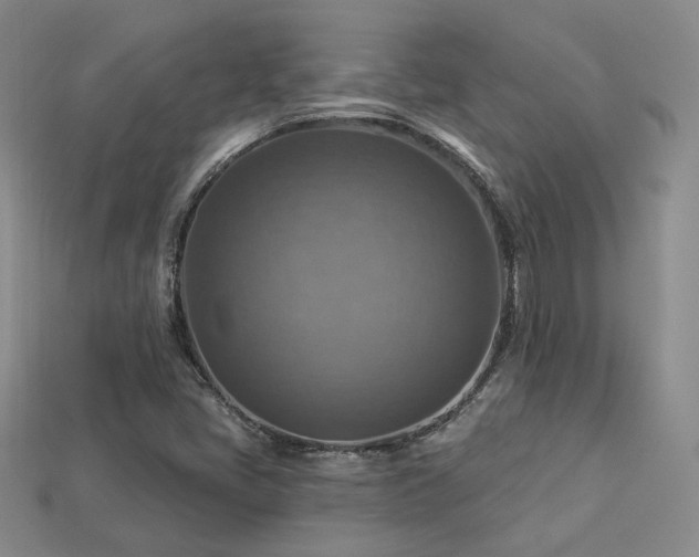 X0000113231405200909101201