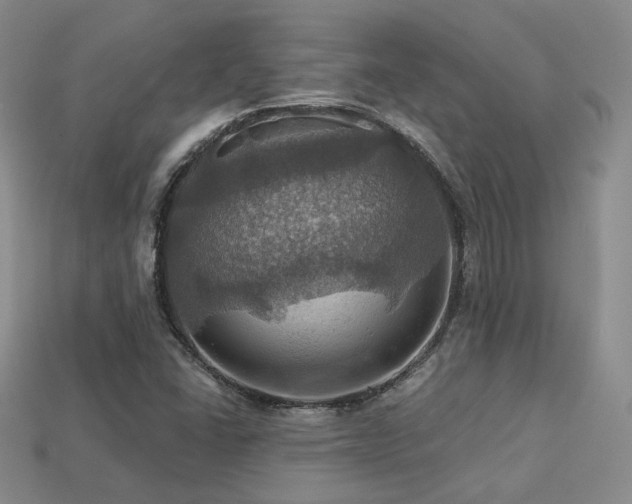 X0000113231406200909101201
