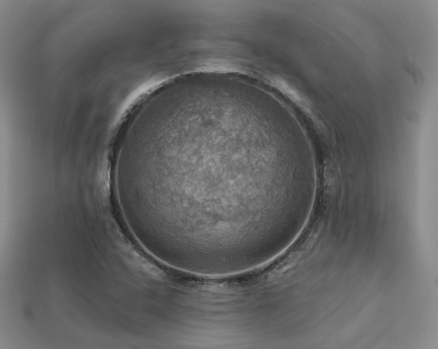 X0000113231408200909101201