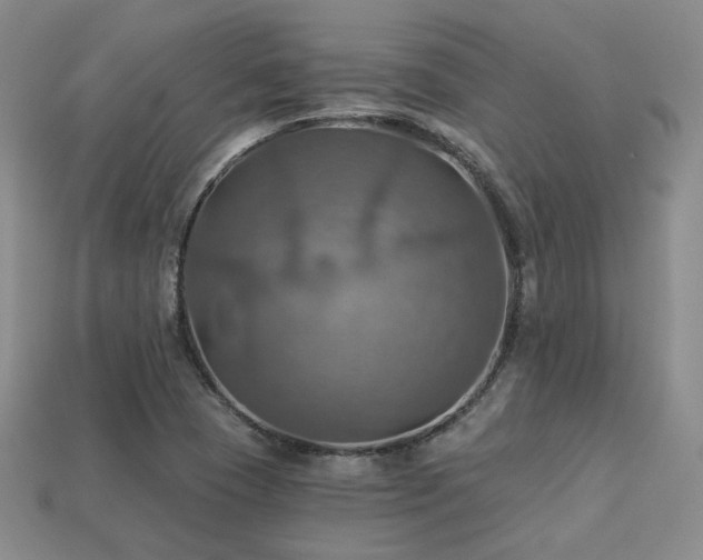 X0000113231409200909101201