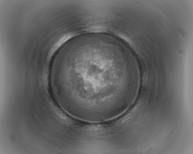 X0000113231410200909101201
