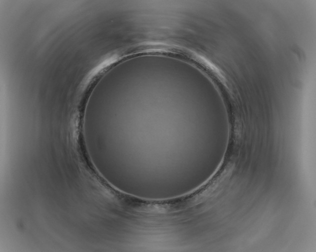 X0000113231411200909101201