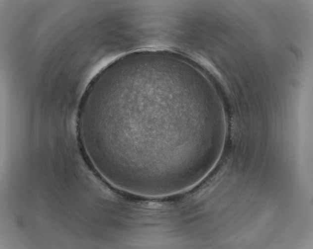 X0000113231412200909101201
