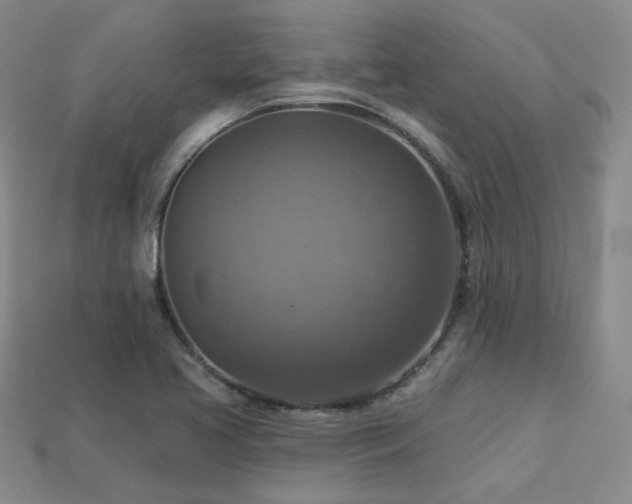 X0000113231413200909101201