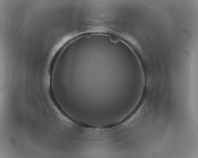 X0000113231414200909101201