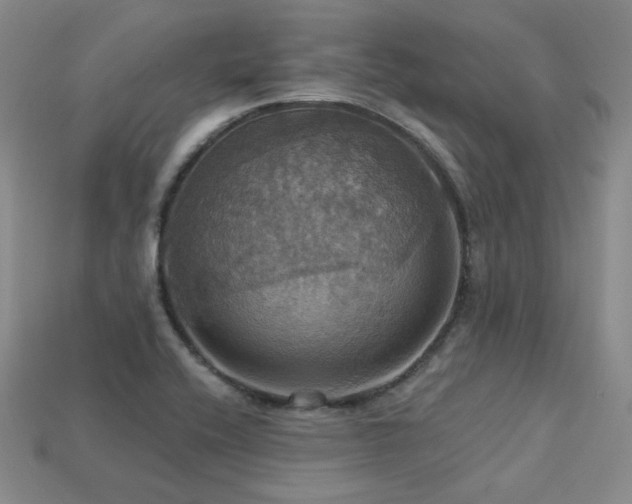 X0000113231416200909101201