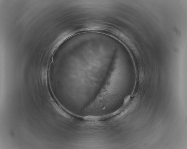 X0000113231417200909101201