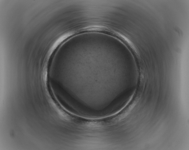 X0000113231418200909101201