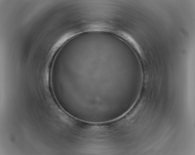 X0000113231419200909101201