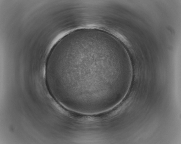 X0000113231420200909101202