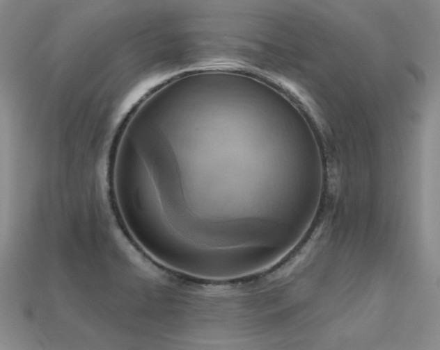 X0000113231422200909101202