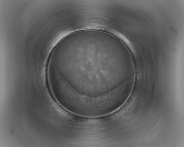 X0000113231423200909101202