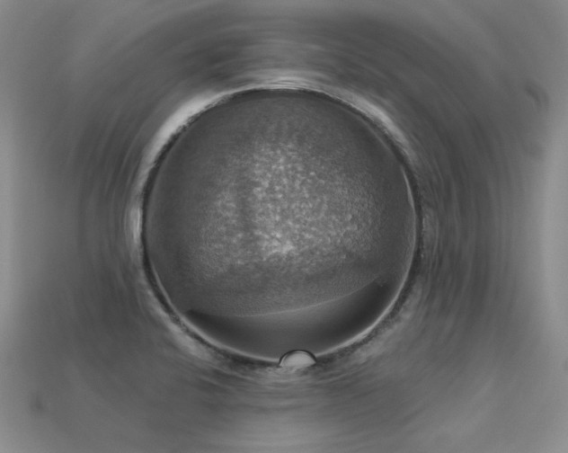 X0000113231424200909101202