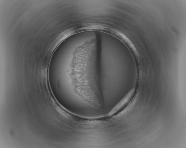 X0000113231425200909101202