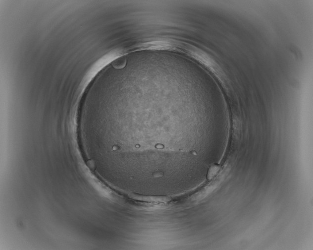 X0000113231426200909101202