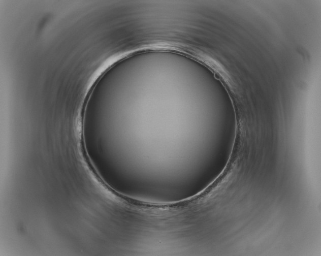 X0000113231428200909101202