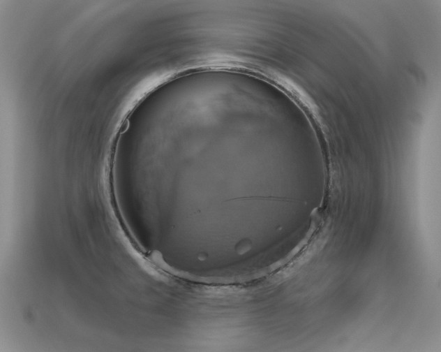 X0000113231429200909101202