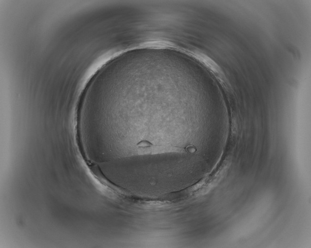 X0000113231430200909101202