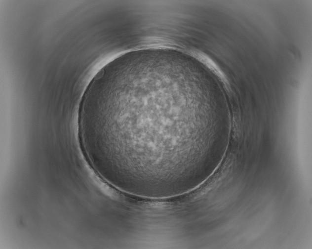 X0000113231431200909101202