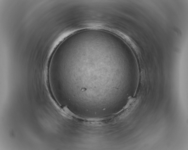 X0000113231432200909101202